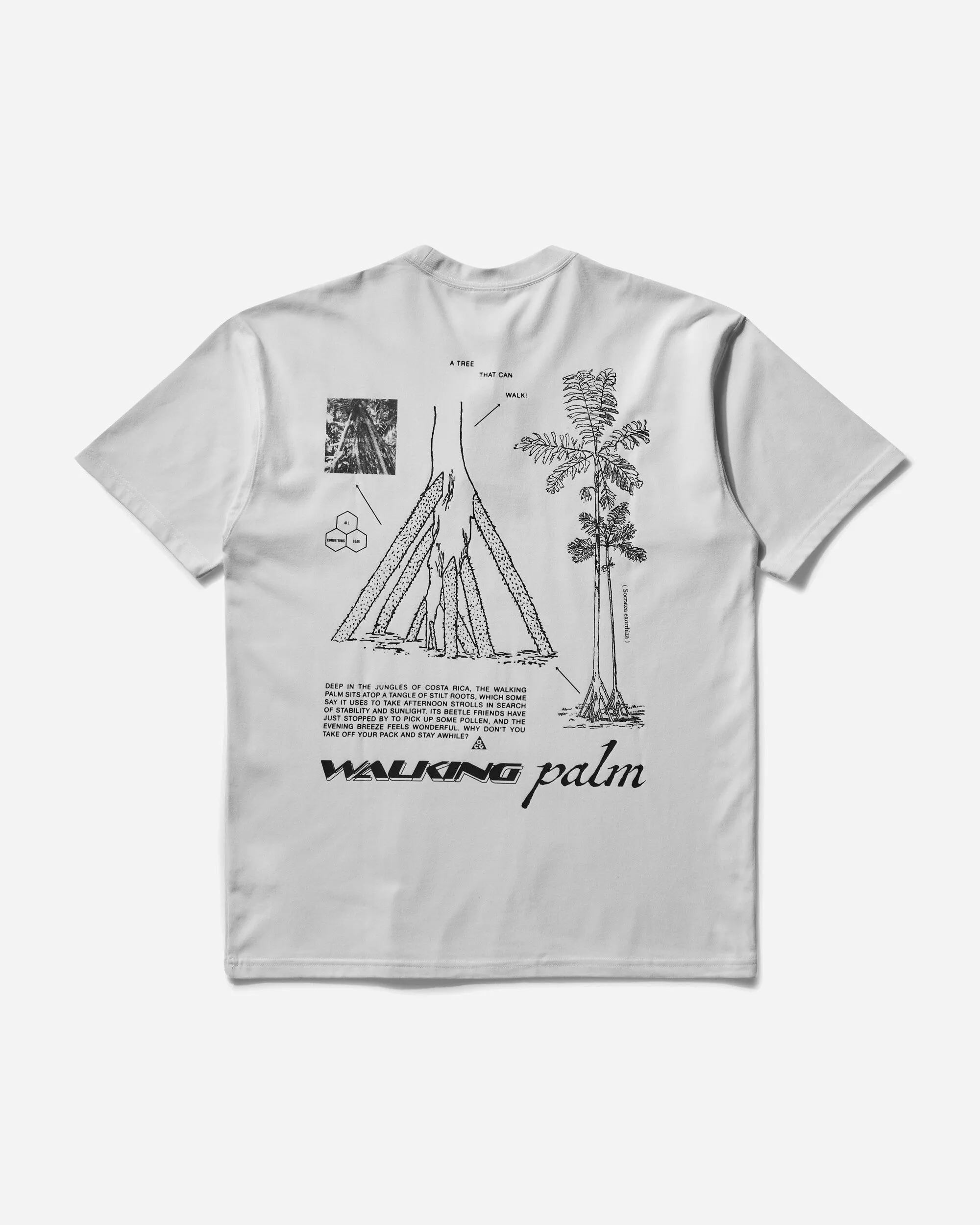 Men's ACG Walking Tree Dri-FIT T-Shirt Summit White